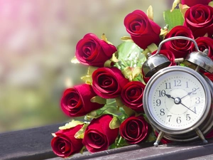boarding, blurry background, roses, alarm clock, Red