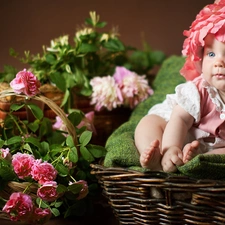 roses, Kid, Baskets