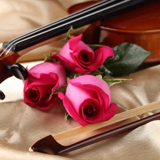 roses, violin, bow