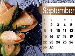 Calendar, september, 2013, roses