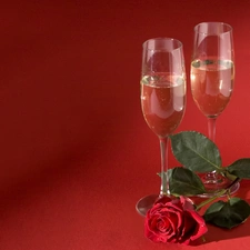 roses, Champagne, Valentine