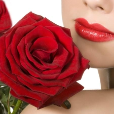 Women, Red, roses, lips