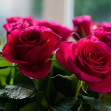 rouge, bouquet, red