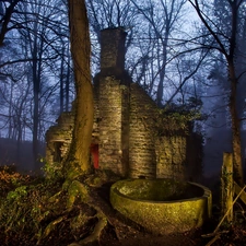 ruin, building, Night, Fog, forest