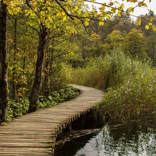 rushes, viewes, Plitvice Lakes National Park, Platform, trees, lake, Coartia