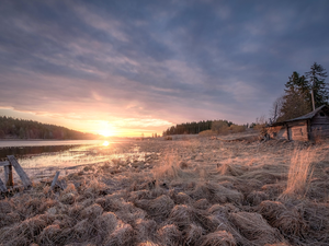 Field, wooden, Karelia, house, Lake Ladoga, grass, Russia