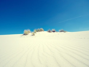 Desert, Bushes, embers, Sand