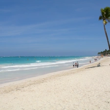 water, Palm, Dominican Republic, Sand, Punta Cana