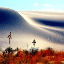 Sand, Plants, White