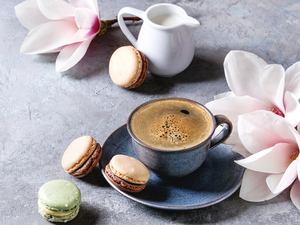 saucer, cup, jug, coffee, Flowers, Magnolias, Cookies, Macaroons, milk