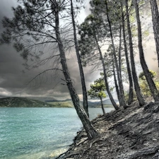 lake, pine, scarp, clouds