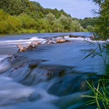 River, forest, scrub, waterfall