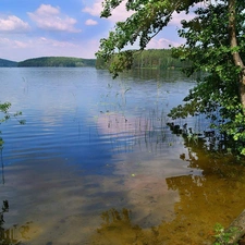 water, viewes, scrub, trees