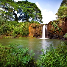 waterfall, viewes, scrub, trees