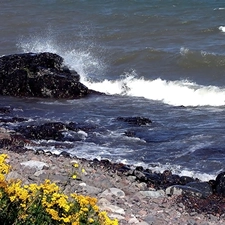 sea, Beaches, Stones