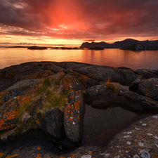 rocks, Great Sunsets, Senja Island, Norway, Plants, sea