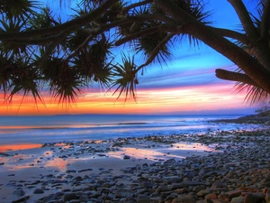 sea, trees, sun, Beaches, west