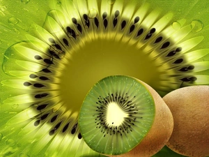 kiwi, drops, water, section