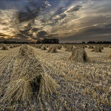 field, sheaves