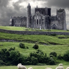 Sheep, Castle, Hill