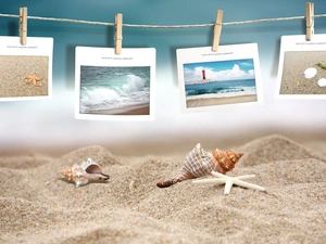 Beaches, Sand, postcards, Shells