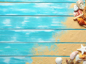 Sand, starfish, Blue, Shells, composition, line, boarding