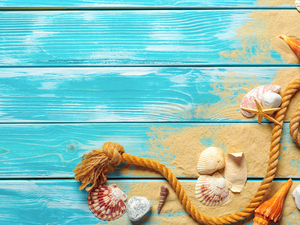 line, starfish, Blue, Shells, composition, Sand, boarding