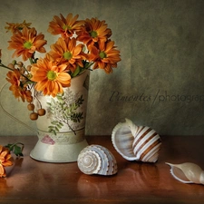 composition, Vase, Shells, daisy