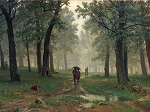 In Oak, Forest, Shishkin, Rain, Ivan