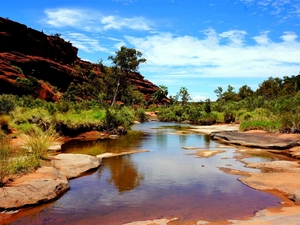 Red, stream, Skrub, rocks