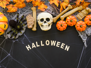 Web, bones, text, skull, pumpkin, Spider, halloween