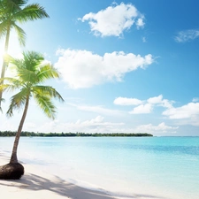 Beaches, blue, Sky, sea