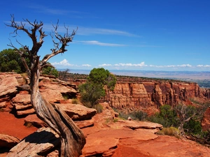 canyons, viewes, Sky, trees