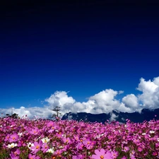 Sky, Cosmos, clouds