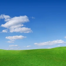 Meadow, Sky