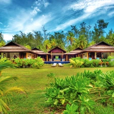 Sky, Houses, Palms