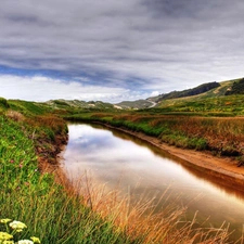 River, Flowers, Sky, grass