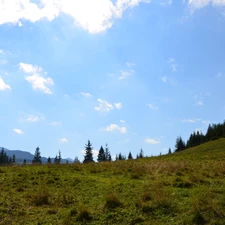 Sky, Meadow, Zakopane