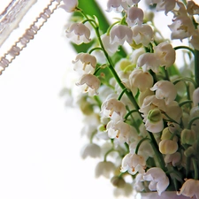 curtain, lilies, small bunch