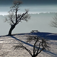 snow, Bench, trees, viewes, dry