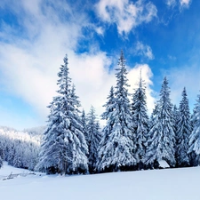 snow, Christmas, clouds