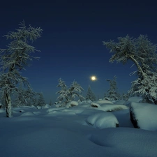 moon, viewes, snow, trees