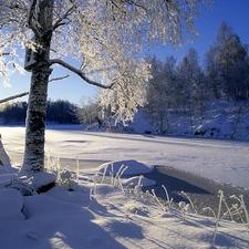 River, viewes, snow, trees