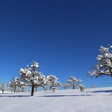 Sky, viewes, snow, trees