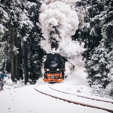 snow, Train, forest, People, winter