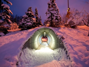 snow, twilight, viewes, tunnel, trees