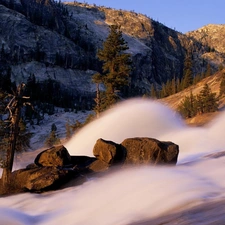 Softwood, Avalanche, trees, viewes, Mountains