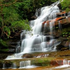 Brisbane Water National Park, New South Wales