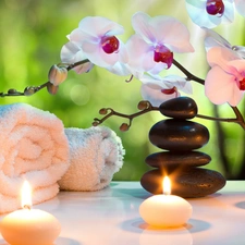 Stones, orchids, Spa, composition, Towels, Candles