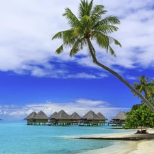 Moorea Island, French Polynesia, holiday, Beaches, Tropical, holiday, Houses, spa, Palms
